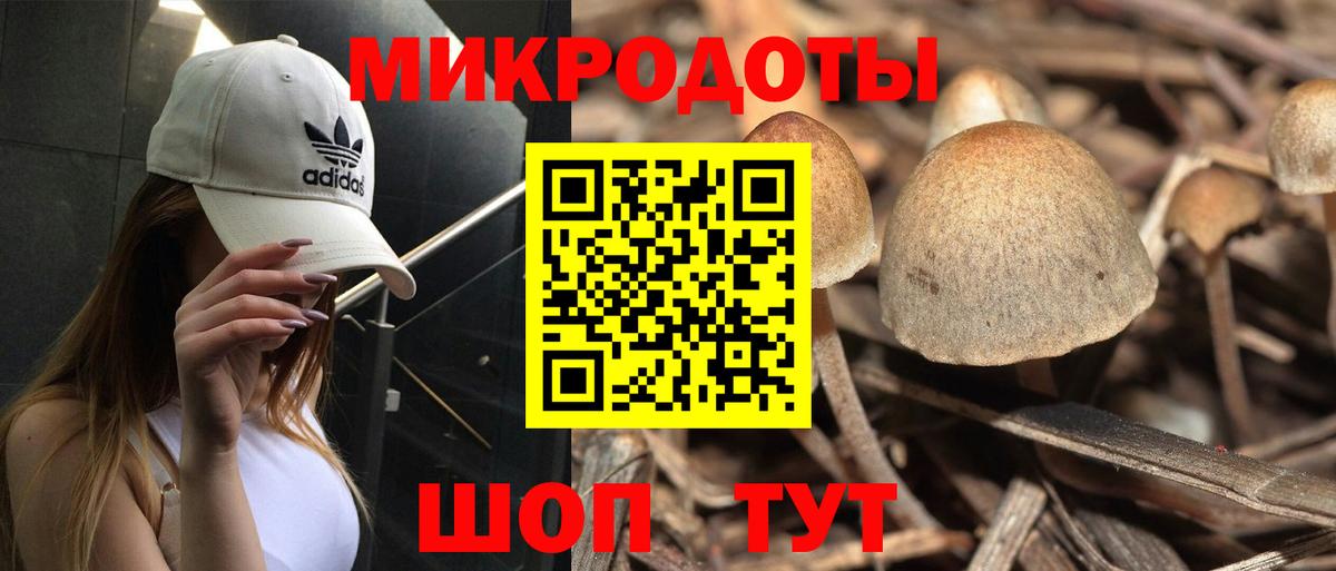 наркота  Вход с VPN  Осинники  Галлюциногенные грибы GOLDEN TEACHER 